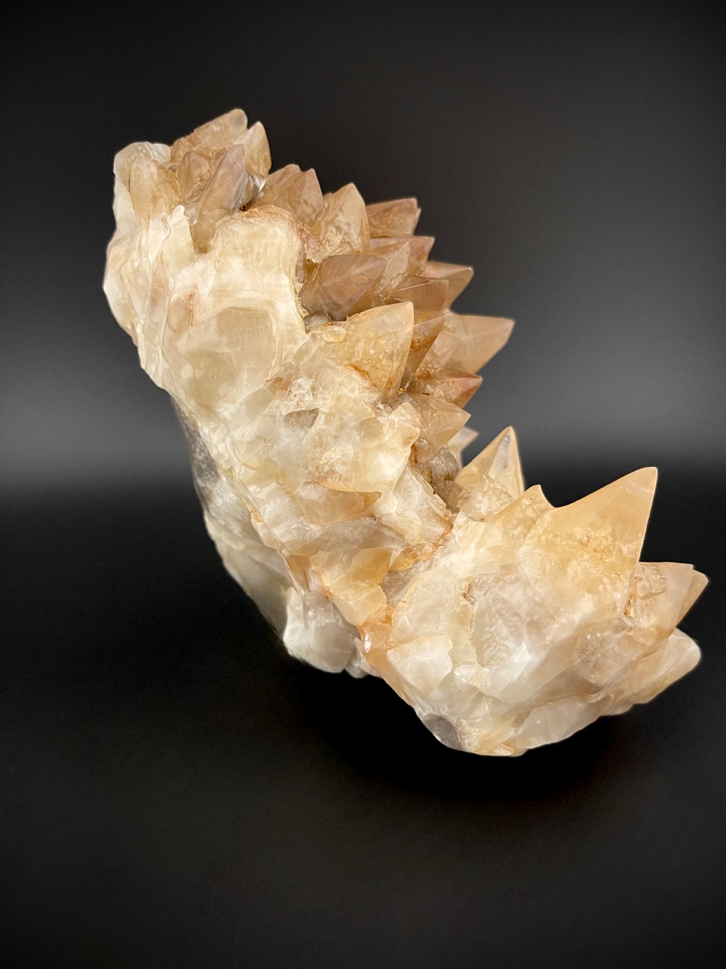 Carmel Dogtooth Calcite Cluster – Rare Freestanding Golden Calcite Specimen