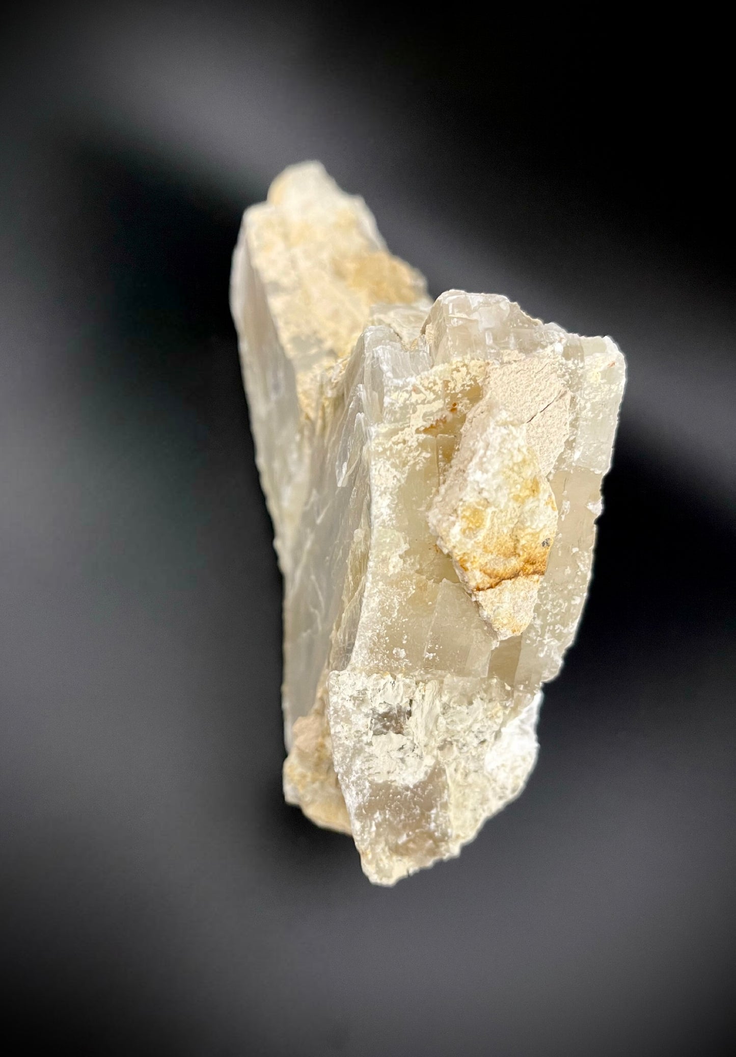 Unique Angel Wing Selenite Specimen – Raw Crystal with Iridescent Rainbows