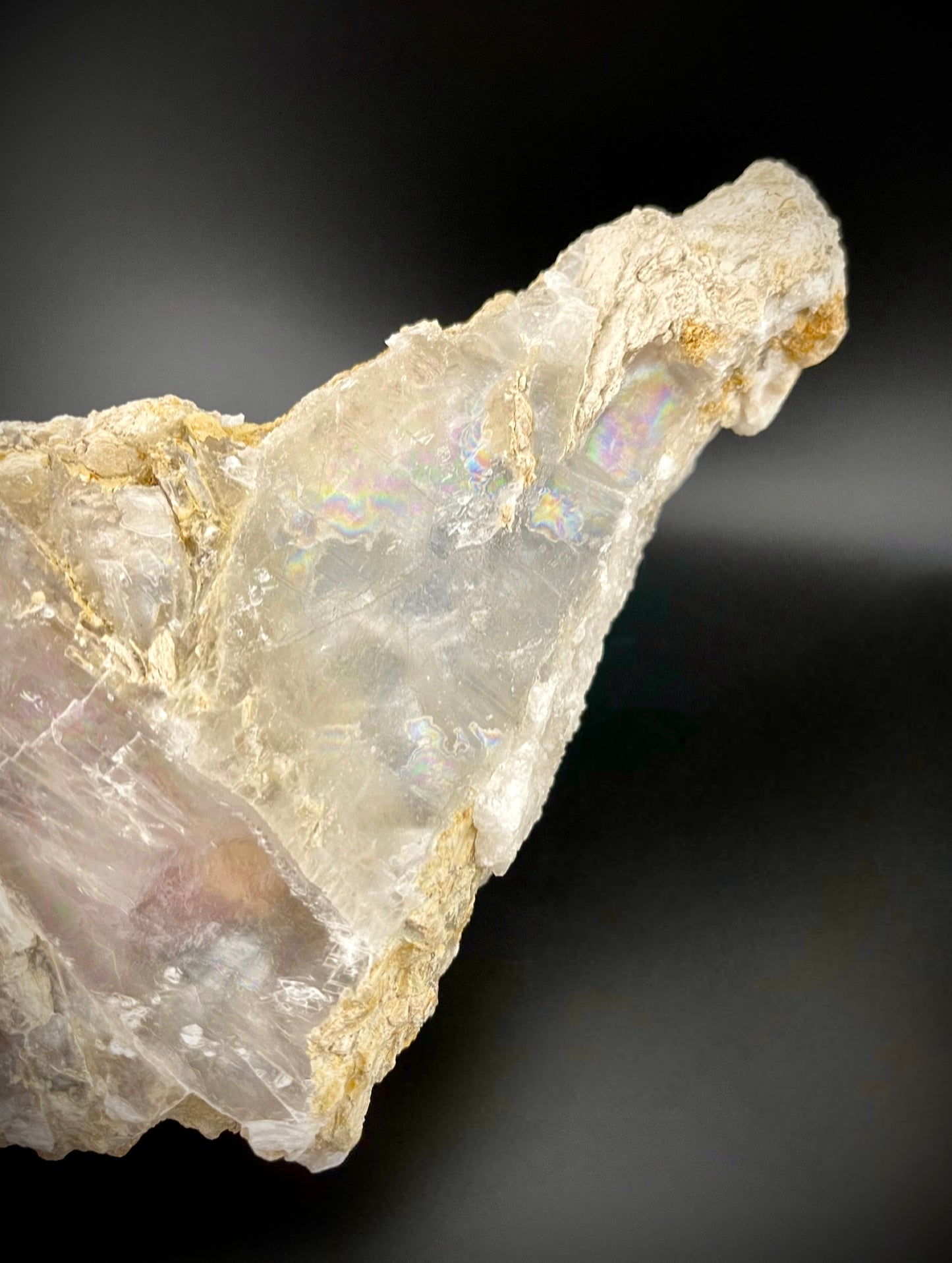 Unique Angel Wing Selenite Specimen – Raw Crystal with Iridescent Rainbows