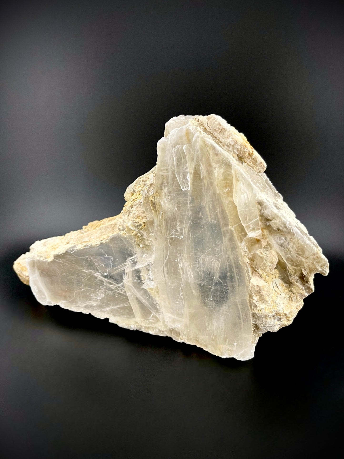 Unique Angel Wing Selenite Specimen – Raw Crystal with Iridescent Rainbows