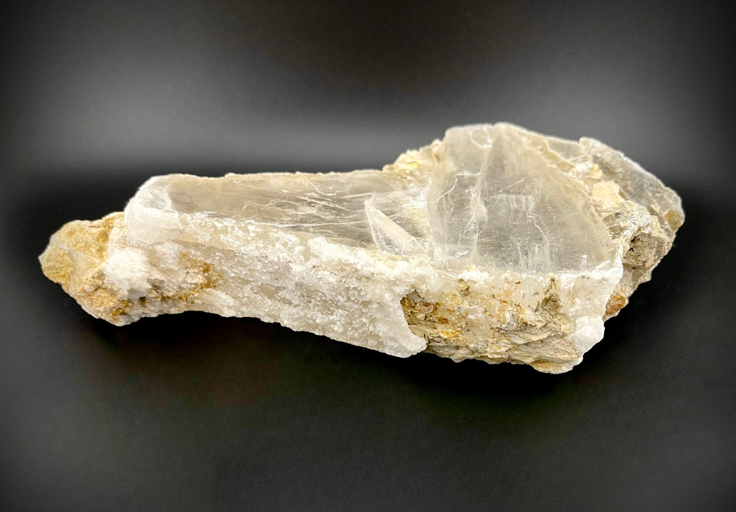 Unique Angel Wing Selenite Specimen – Raw Crystal with Iridescent Rainbows