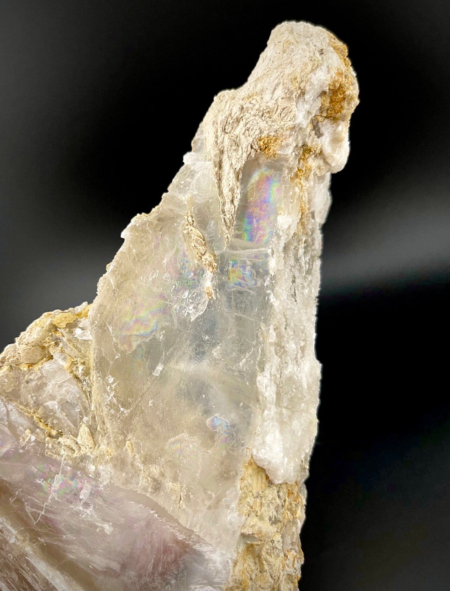 Unique Angel Wing Selenite Specimen – Raw Crystal with Iridescent Rainbows
