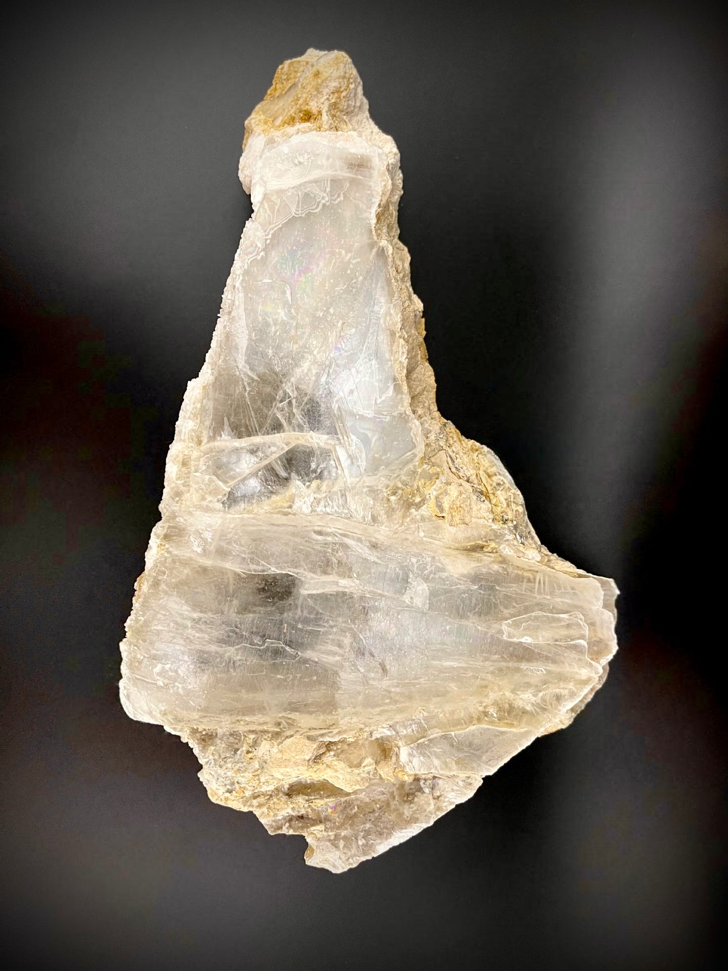 Unique Angel Wing Selenite Specimen – Raw Crystal with Iridescent Rainbows