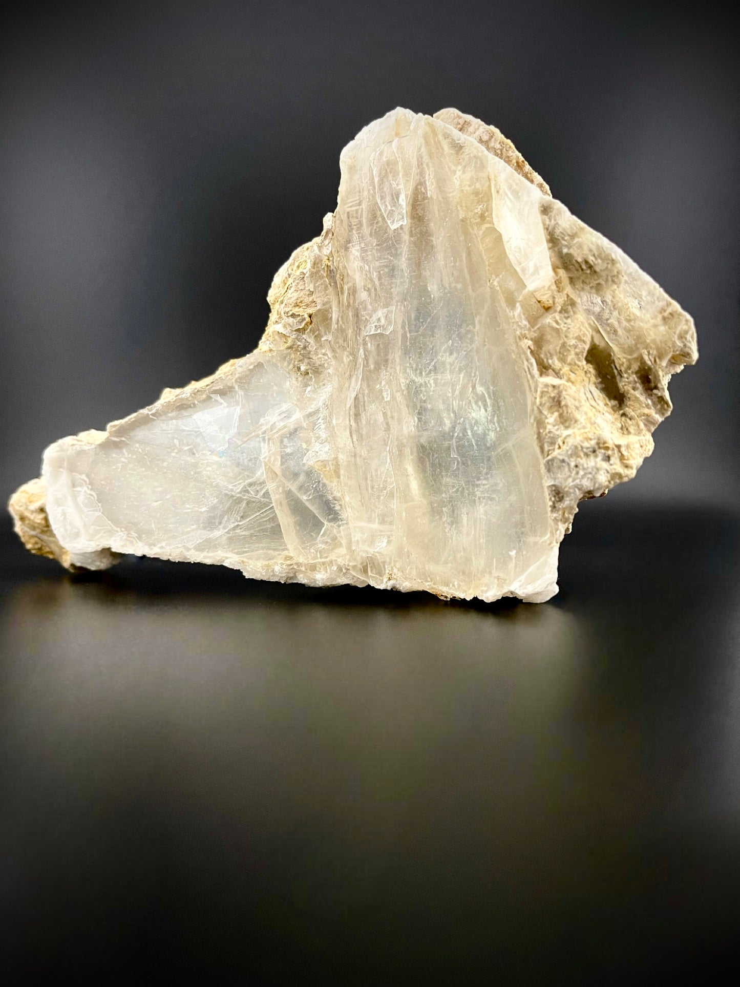 Unique Angel Wing Selenite Specimen – Raw Crystal with Iridescent Rainbows