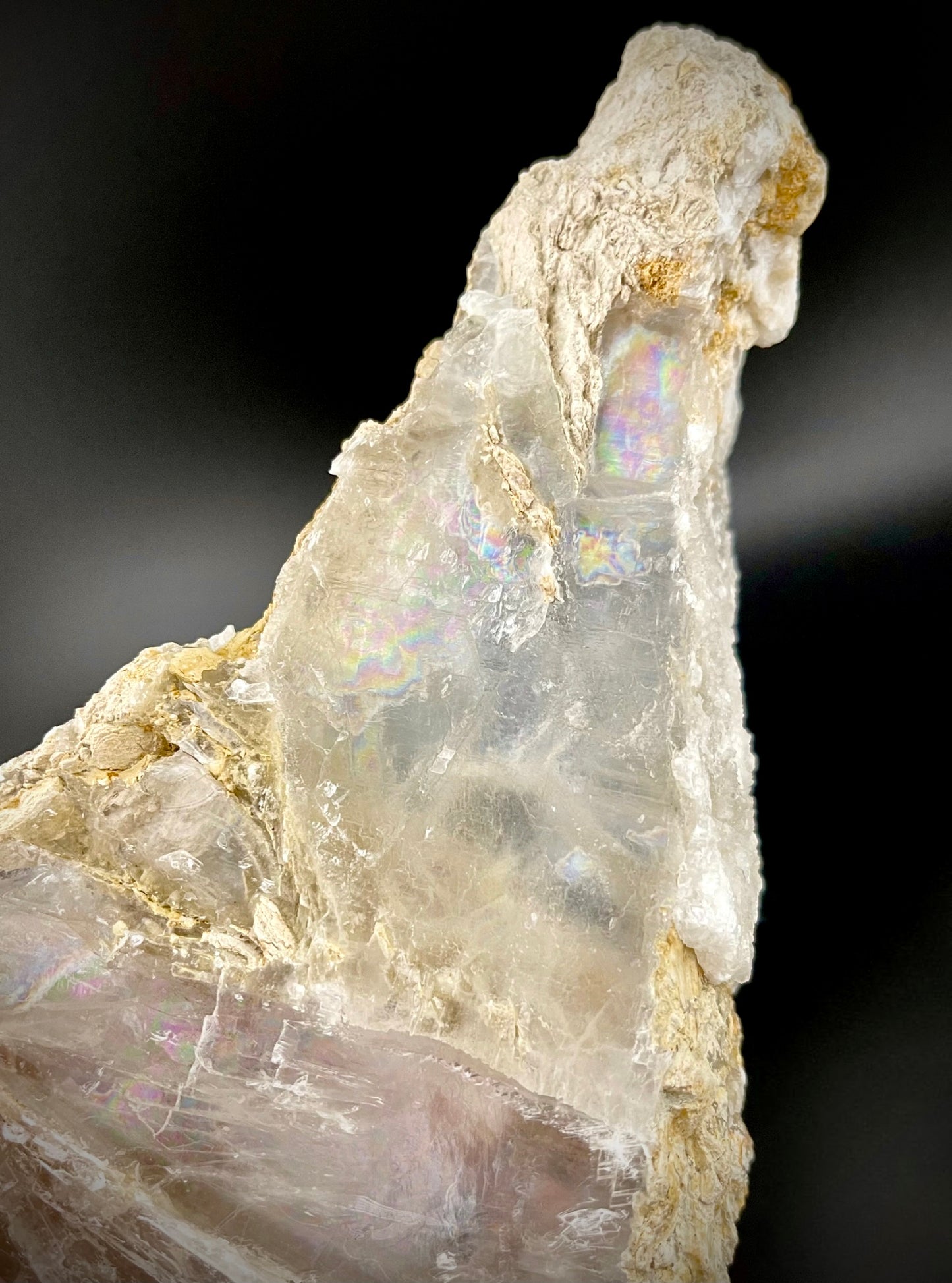 Unique Angel Wing Selenite Specimen – Raw Crystal with Iridescent Rainbows