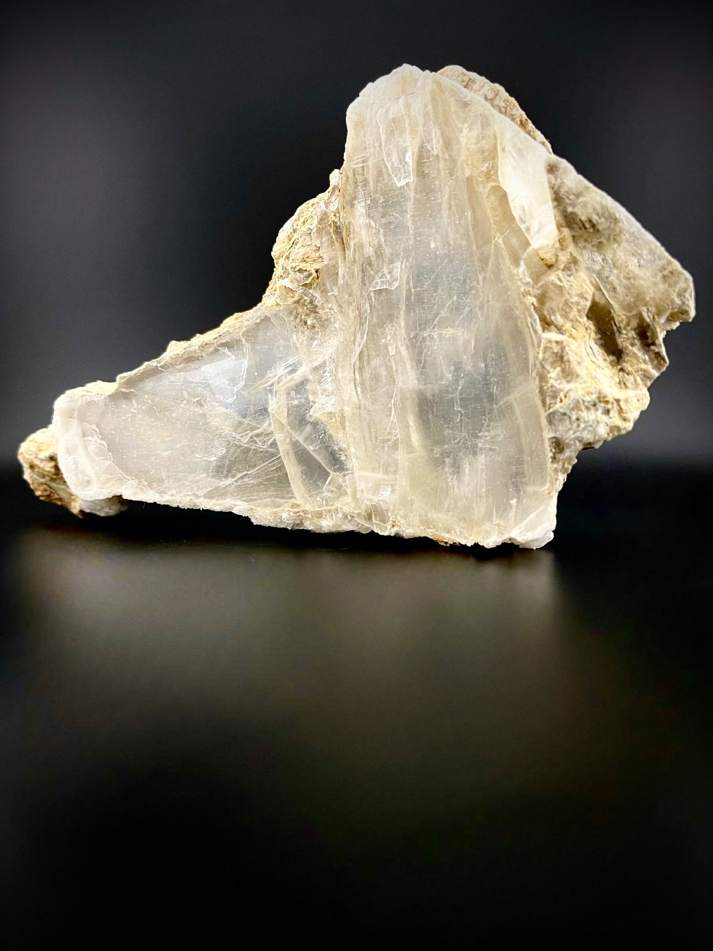 Unique Angel Wing Selenite Specimen – Raw Crystal with Iridescent Rainbows